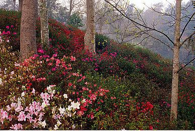 FF14游戏曲目 《Close in the Distance》官方MV公开